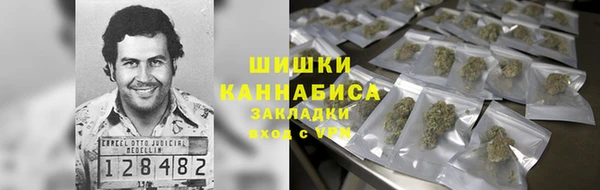 соль ск Алзамай