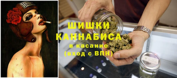 дмт Абаза