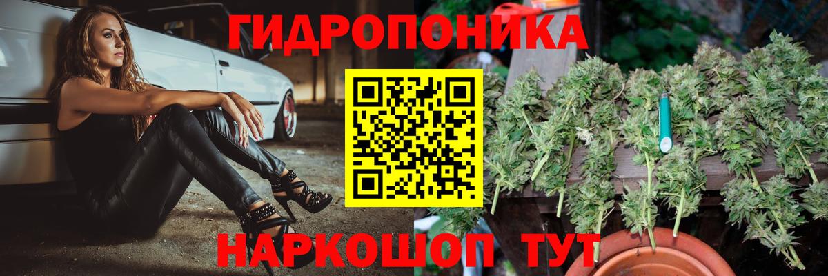 Марихуана THC 21%  Вход с VPN  Нижний Новгород  Шишки марихуана Bruce Banner  Каннабис марихуана 